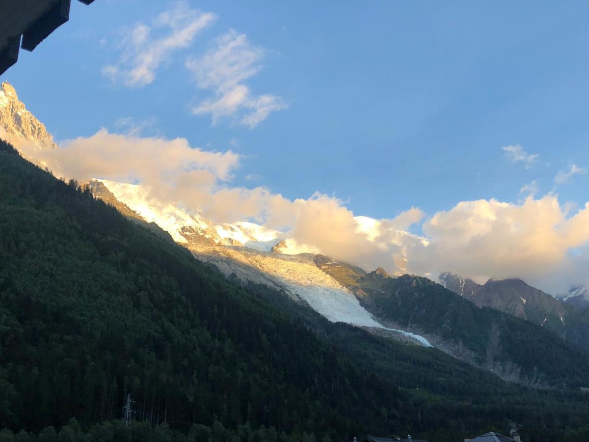 Mont Blanc 43, Vue Mont Blanc , Balcon, Parking Leilighet Chamonix Eksteriør bilde